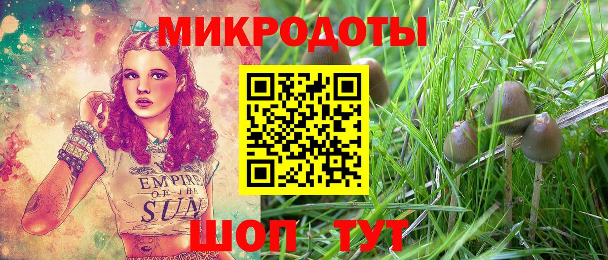 Псилоцибиновые грибы MAGIC MUSHROOMS Лесосибирск